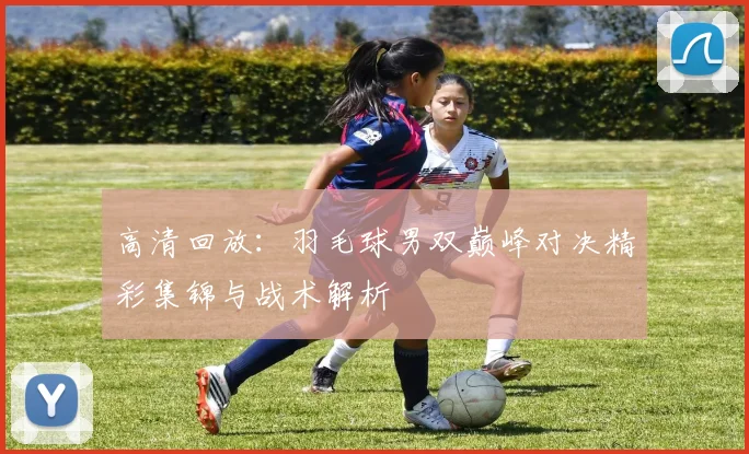 高清回放：羽毛球男双巅峰对决精彩集锦与战术解析